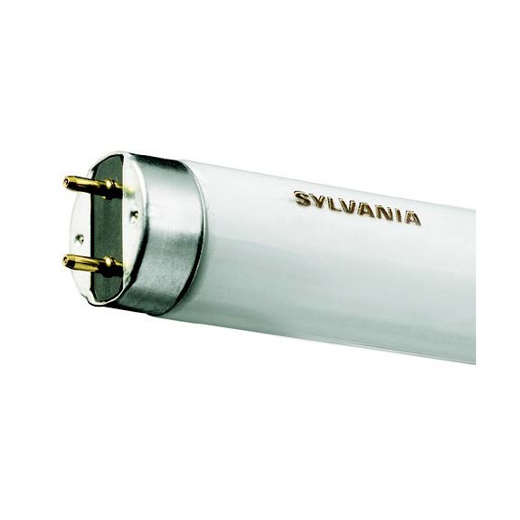 SYLVANIA SY0001504 Lampe T8 | 36W G13 | 4000K