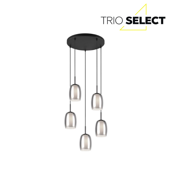 Trio SELECT 317530554  Pendelleuchte BARRET  E14