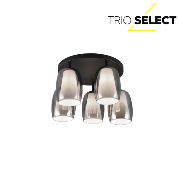 Trio SELECT 617500554  Deckenleuchte BARRET  E14