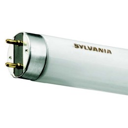 SYLVANIA SY0001504 Lampe T8 | 36W G13 | 4000K